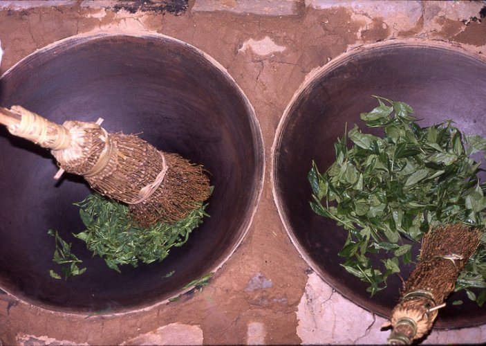 Traditional Anhui Small-Leaf Yellow Tea | An Hui Huang Xiao Cha - Option: 50 g